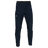 Ambition 2.0 Pants LZ Jr